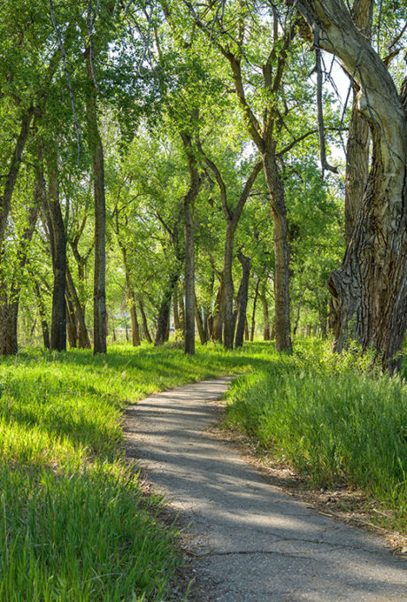 Cherry Creek Bike Trail